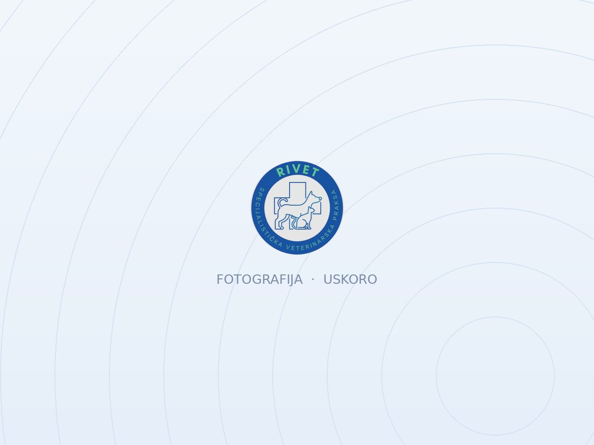 Ultrazvučna dijagnostika RiVet Rijeka